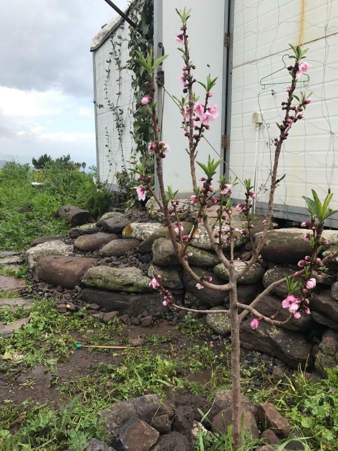 Natura-Eco Farm 外观 照片