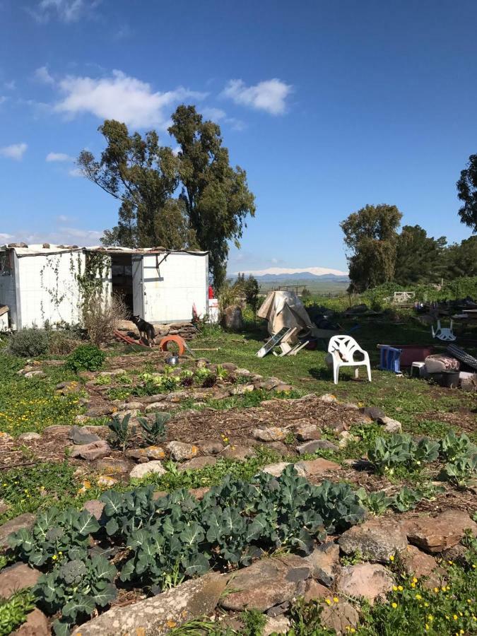 Natura-Eco Farm 外观 照片